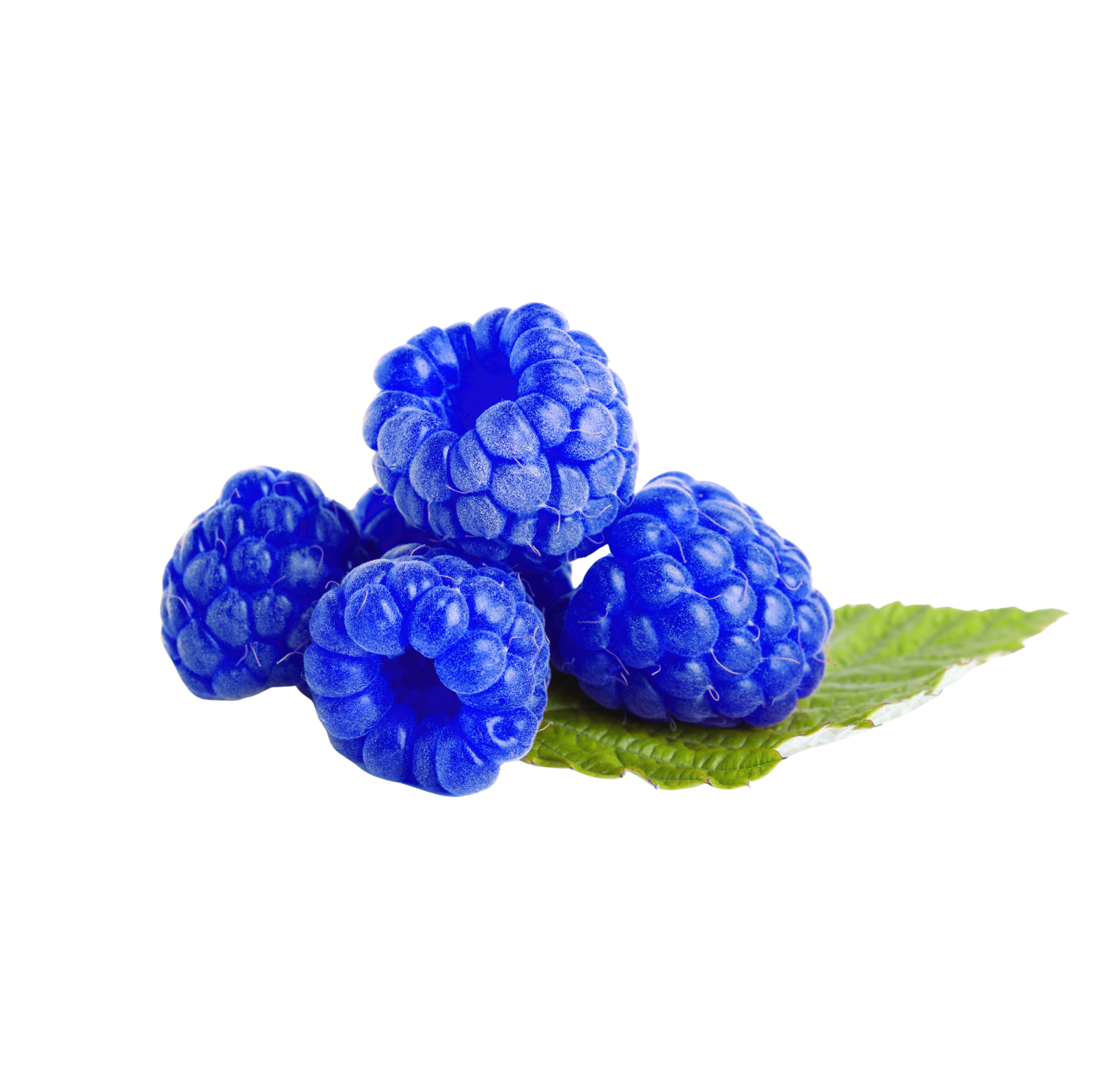 Blue Raspberry